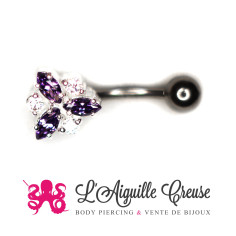 Bijou de nombril Triquetra en argent 925, banane en titane g23 2