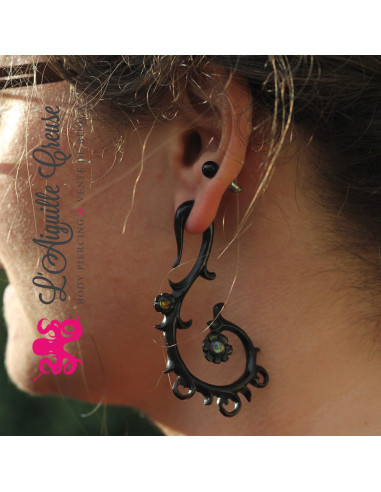 Corne dentelle & abalone