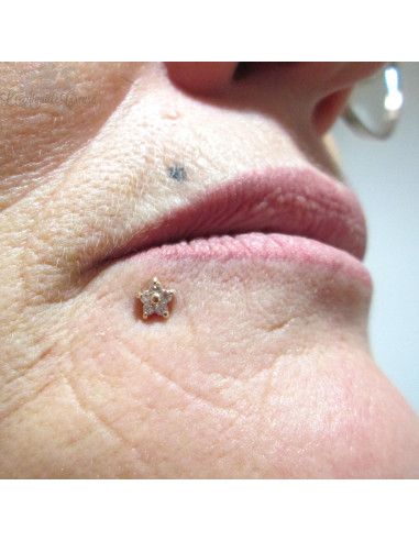 Zircons Fleur en or jaune 14 carats