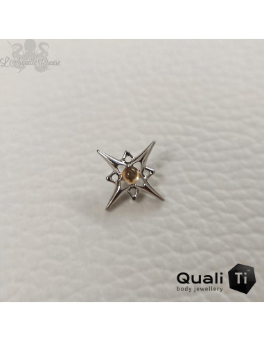 Accessoire 'Solar Energy' QualiTi en titane et Citrine, pour 1 ou 1.2 mm