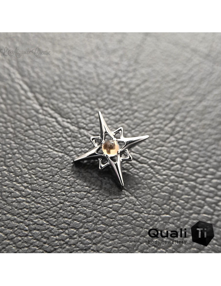 Accessoire 'Solar Energy' QualiTi en titane et Citrine, pour 1 ou 1.2 mm