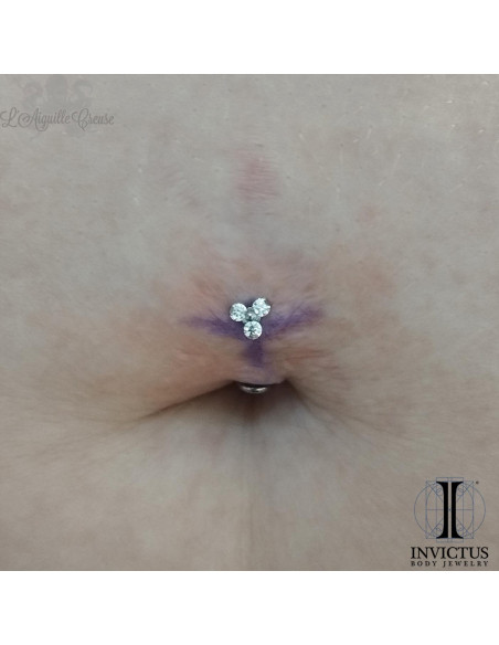 Piercing Nombril En Titane G23, Top Matériaux Et Finitions