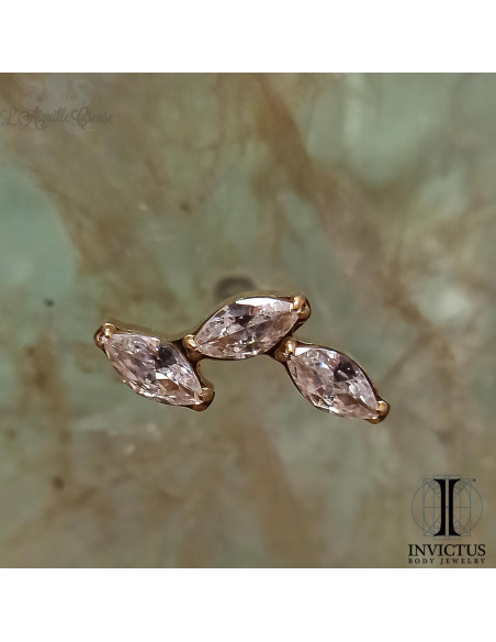 Accessoire Invictus en titane pvd or 24 carats et zircons  - threadless