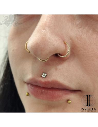 Anneau segmenté en titane pvd or 24 carats Invictus et ses zircons, ouverture facile