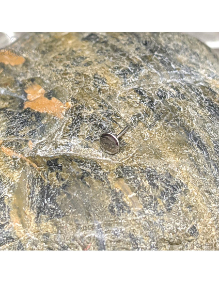 Plateau en titane - Threadless