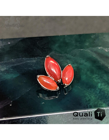 Triple marquise de Cornaline QualiTi en titane - pour 1.2 mm