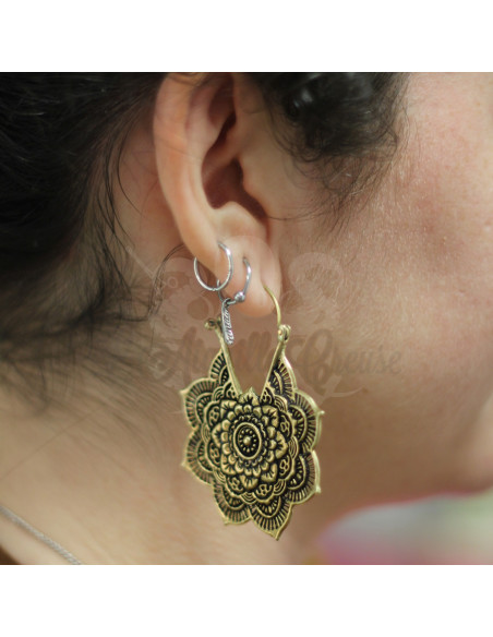 Paire de boucles en bronze 