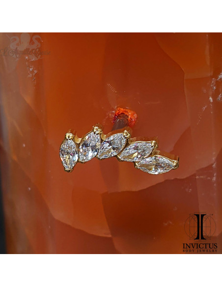 Cluster Invictus en titane pvd or 24 carats et zircons- threadless