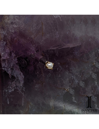 Perle griffé Invictus en titane pvd or 24 carats- threadless