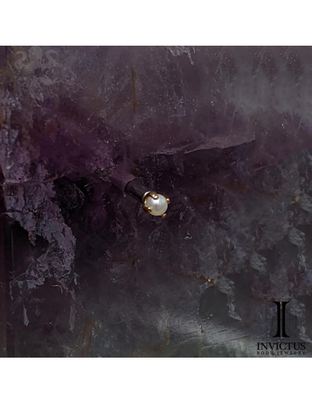 Perle griffé Invictus en titane pvd or 24 carats- threadless
