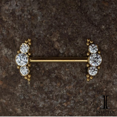 Bijou de téton Invictus en titane pvd gold et Zircons - Threadless 2