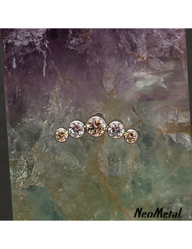 'Glimmer and Glow' Cluster en titane orné de zircons Threadless - Neometal