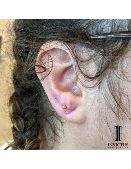 Bille Invictus en titane pvd or 24 carats - threadless