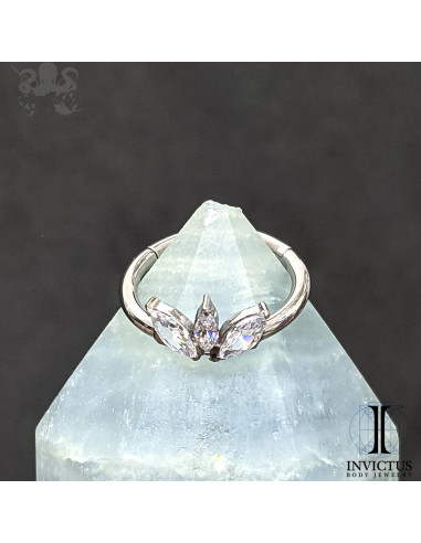 Anneau segmenté en titane Invictus, zircons premiums, ouverture facile