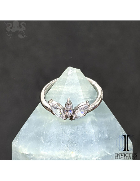 Anneau segmenté en titane Invictus, zircons premiums, ouverture facile