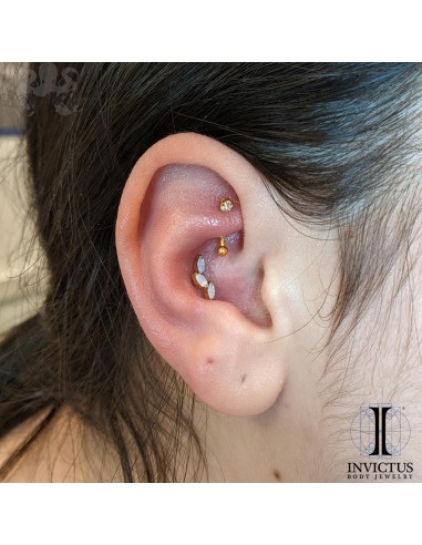 Accessoire Invictus en titane pvd or 24 carats et opalites  - threadless