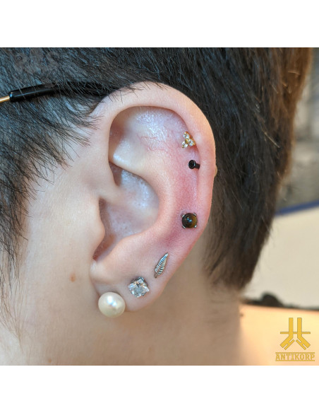 Oeil de Tigre griffé en titane de 4 mm - pour 1.2 mm