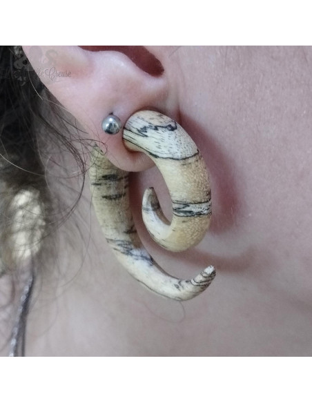 Spirale en bois de Tamarin