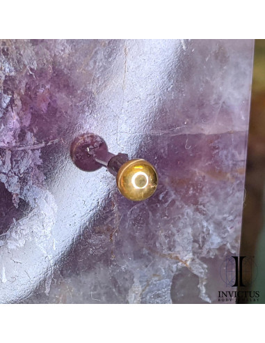 Bille Invictus en titane pvd or 24 carats - threadless