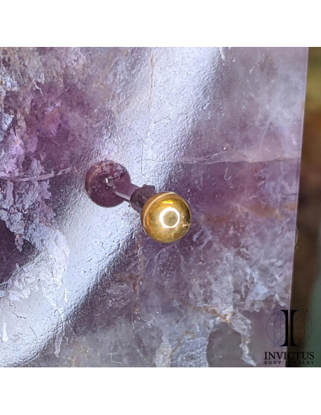 Bille Invictus en titane pvd or 24 carats - threadless