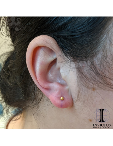 Bille Invictus en titane pvd gold - pour 1.2 mm