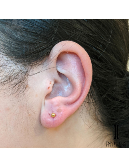 Bille Invictus en titane pvd gold - pour 1.2 mm