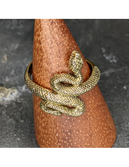 Bague en bronze
