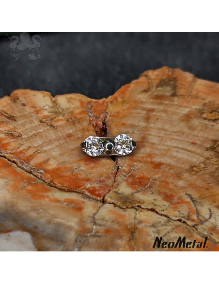 Duo de Zircons cubiques en titane, Threadless - Neometal