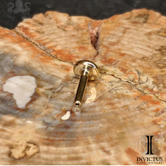 Barre de Labret Invictus en titane pvd gold - 1,2 mm -pas de vis interne