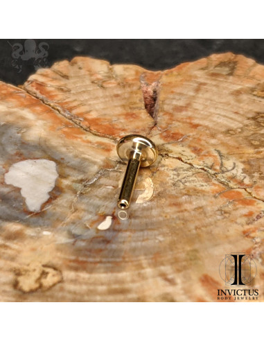 Barre de Labret Invictus en titane pvd gold - 1,2 mm -pas de vis interne