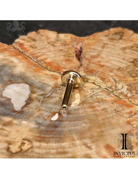 Barre de Labret Invictus en titane pvd gold - 1,2 mm -pas de vis interne