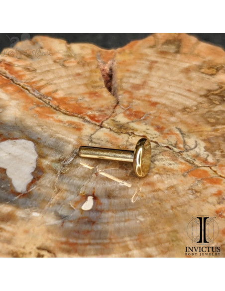 Barre de Labret Invictus - titane pvd gold - 1.2 mm threadless