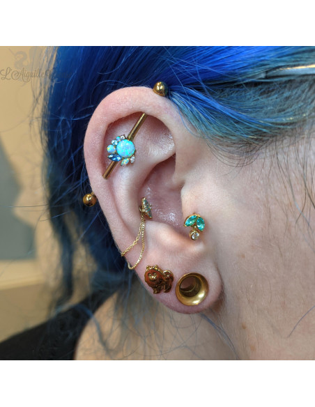 Tunnel en acier chirurgical pvd or rose