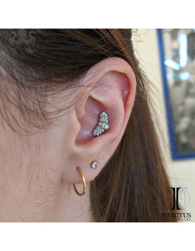 Cluster Invictus en titane et zircons cubiques - pour 1.2 mm