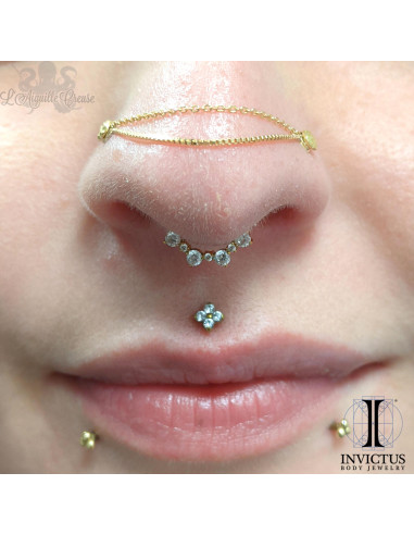 Anneau segmenté en titane pvd or 24 carats Invictus et ses zircons, ouverture facile