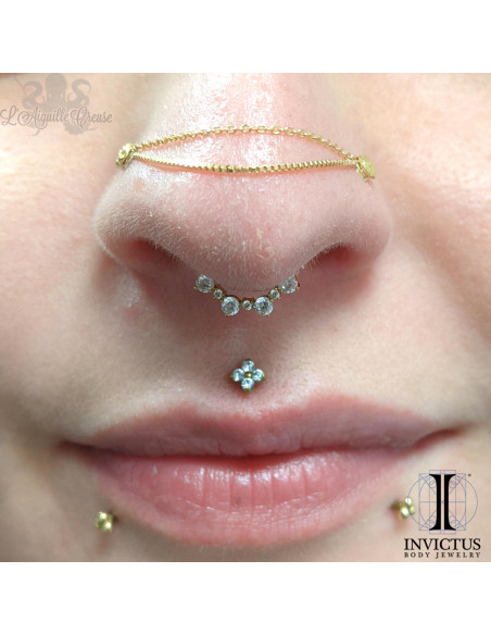 Anneau segmenté en titane pvd or 24 carats Invictus et ses zircons, ouverture facile