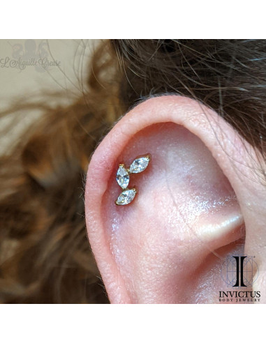 Accessoire Invictus en titane pvd or 24 carats et zircons  - threadless