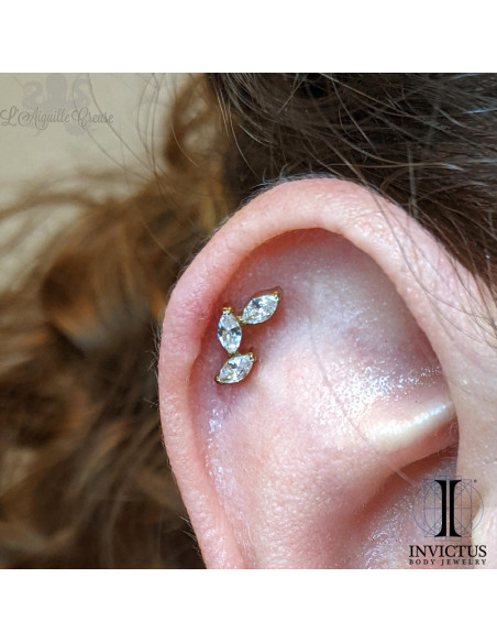 Accessoire Invictus en titane pvd or 24 carats et zircons  - threadless