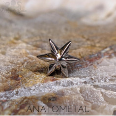 Etoile 'Nstar' en titane ANATOMETAL Threadless
