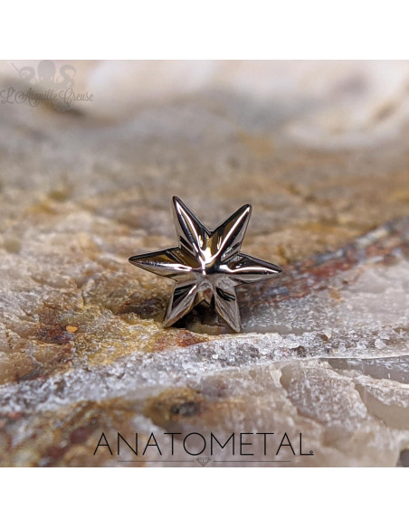 Etoile 'Nstar' en titane ANATOMETAL Threadless