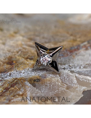 Etoile 'Polaris' en titane et Zircon ANATOMETAL Threadless