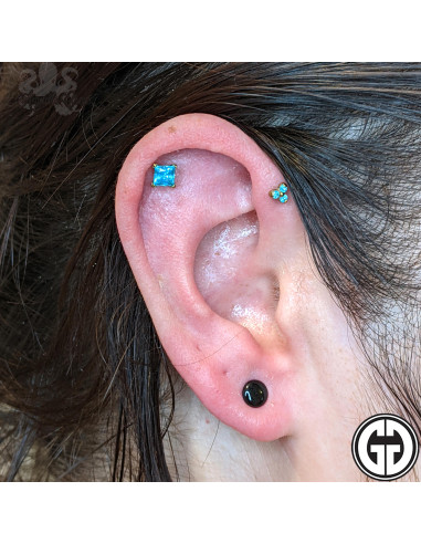 Plug Gorilla Glass noir