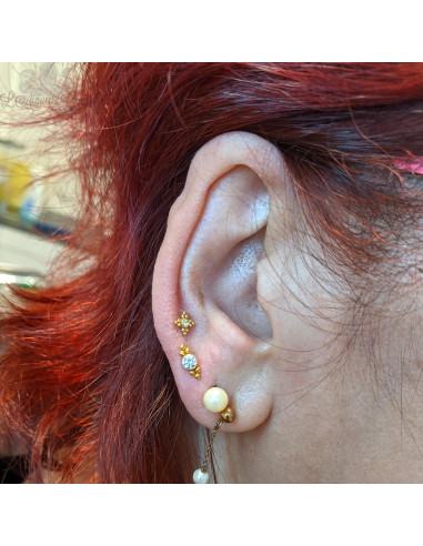 Zircon premium en titane pvd or pour 1 ou 1.2 mm