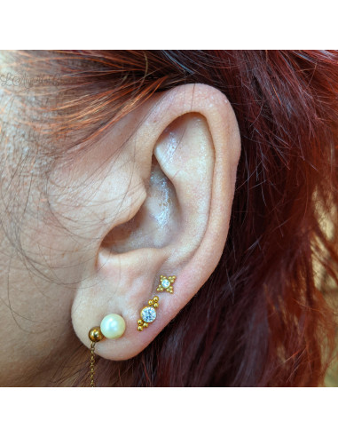 Zircon premium en titane pvd or pour 1 ou 1.2 mm