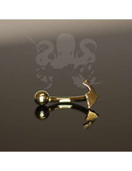 Bijou d'arcade en Or jaune 18 carats Dauphin