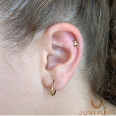 Scarabée Threadless Junipurr en or jaune 14 carats 2