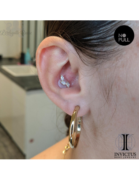 Accessoire Invictus en titane pvd or 24 carats et zircons  - threadless