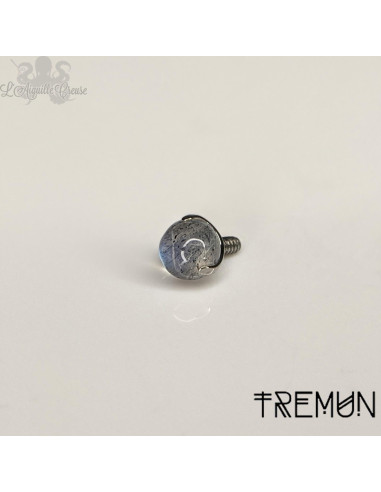 Sphère Tremun en titane & labradorite de 4 mm , pour 1.6 mm