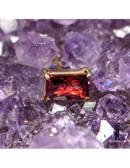 Zircon rectangulaire Invictus en titane pvd or 24 carats - threadless