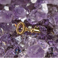 Clef Invictus en titane pvd or 24 carats - threadless